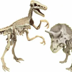 Clementoni ARCHÉO LUDIC - DINOSAURES LÉGENDAIRES -Magasin Promotionnel Corolla 039b49e44e0627a3159f19bc8b9466b6ed9606c9 04050877 03