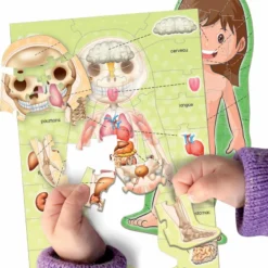 Educa Borras LE CORPS HUMAIN -Magasin Promotionnel Corolla 05fa5db02a8e91780405ea743f00581c162de642 41010179 04