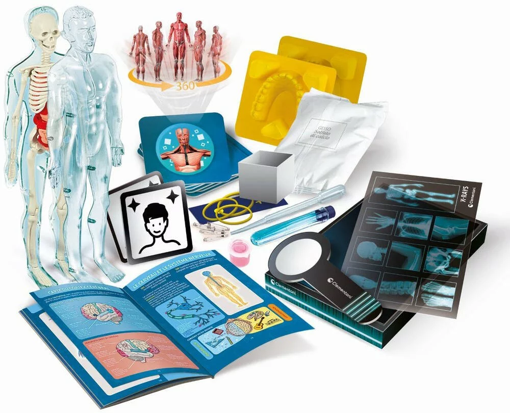 Clementoni L'ANATOMIE - LE CORPS HUMAIN 2 Clementoni L'ANATOMIE - LE CORPS HUMAIN – Image 2