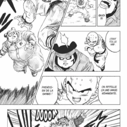 Hachette Livre LIVRE MANGA - DRAGON BALL SUPER - TOME 13 9 Hachette Livre LIVRE MANGA - DRAGON BALL SUPER - TOME 13 -Magasin Promotionnel Corolla 2904bd4b9dbb3ecda63eb6428f3ac7994725aa59 41001682 05