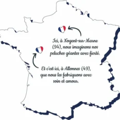 Pioupiou Et Merveilles PELUCHE GASTON OURS CHOCOLAT 60 CM -Magasin Promotionnel Corolla 2eca10921d21d74af09f8400f1edcaf6ae2f54bb 41012087 04