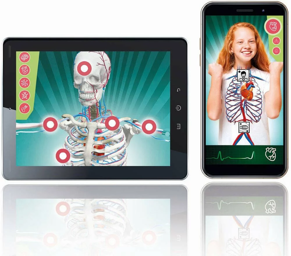 Clementoni L'ANATOMIE - LE CORPS HUMAIN 4 Clementoni L'ANATOMIE - LE CORPS HUMAIN – Image 4