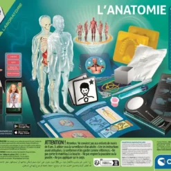 Clementoni L'ANATOMIE - LE CORPS HUMAIN 11 Clementoni L'ANATOMIE - LE CORPS HUMAIN -Magasin Promotionnel Corolla 8b625941424738ad137691ff72f1e483bf11a394 41053722 06