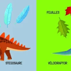 SASSI JUNIOR Q-BOX. LES DINOSAURES -Magasin Promotionnel Corolla a40bff22922ec21a5dd9b0f74ffa8fb95f747087 41031371 04