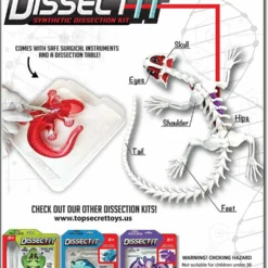 Silverlit DISSECT-IT - SALAMANDRE SLIME A DISSEQUER -Magasin Promotionnel Corolla aba2a57397f47590e49a200f30b4aba59c962b45 41053781 03