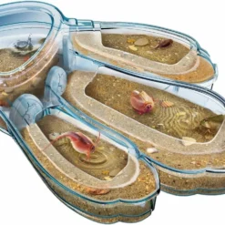 Clementoni TRIOPS LES ANIMAUX PREHISTORIQUES -Magasin Promotionnel Corolla adf69ce170836417815c28424f82958f583a7ebc 41003579 03