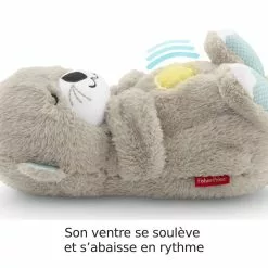 Fisher Price PELUCHE MA LOUTRE CALINS BONNE NUIT -Magasin Promotionnel Corolla bc5b182b7829adc07d2b3116d1ea0122b05695a7 08027046 03