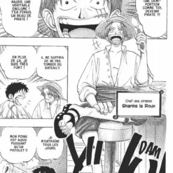 Hachette Livre ONE PIECE LIVRE MANGA TOME 01 -Magasin Promotionnel Corolla c20c26153cb364776847302f822905266c312889 41000538 03