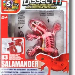 Silverlit DISSECT-IT - SALAMANDRE SLIME A DISSEQUER -Magasin Promotionnel Corolla e3952b4f8db482c47d60fbec9e1ca36ff8c69b81 41053781 05