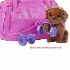 MATTEL POUPEE BARBIE BIEN ETRE SPORT -Magasin Promotionnel Corolla f64402e527959059d4a1b1b0e3349225c512a992 10022412 05