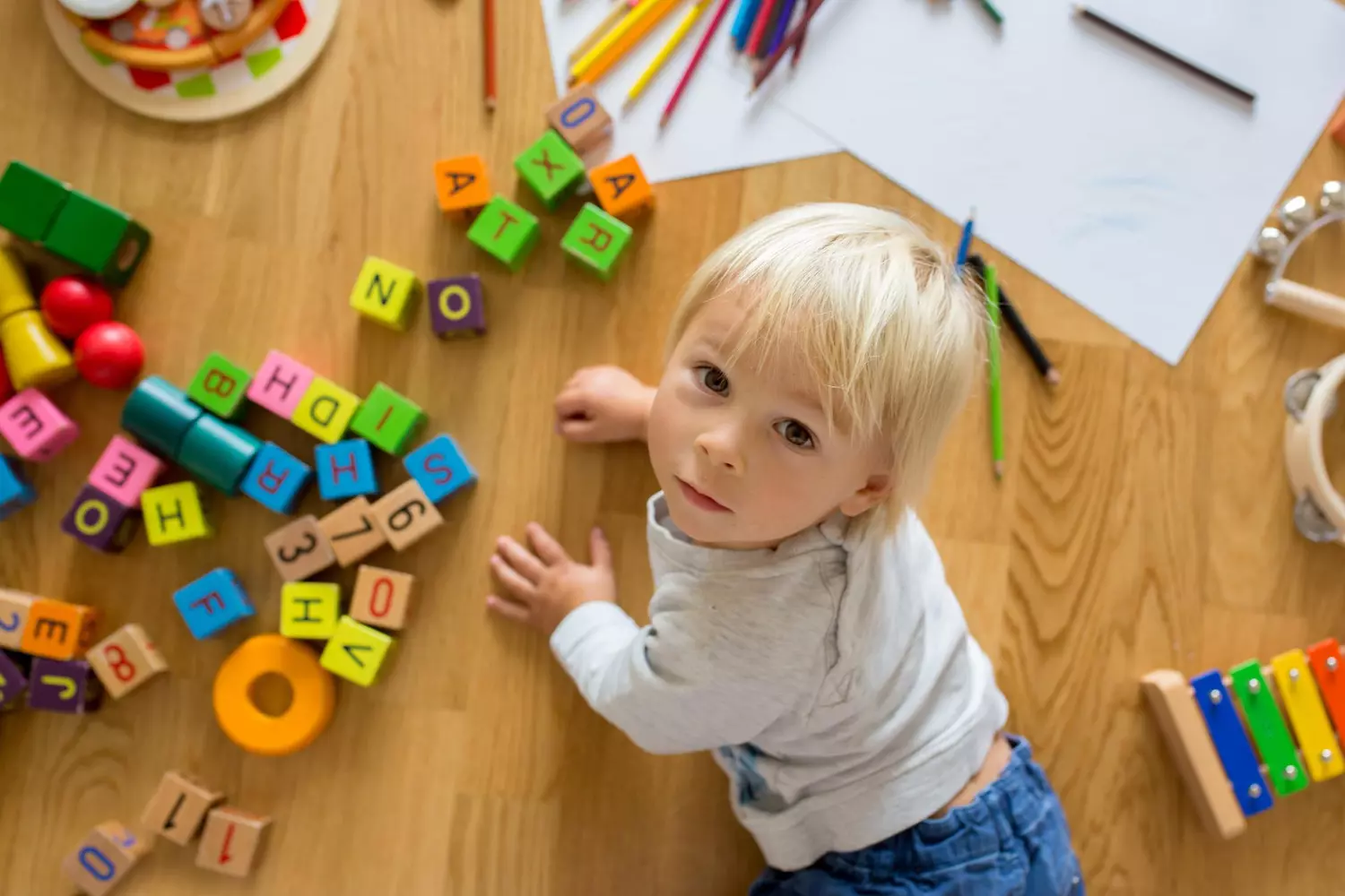 Magasin Promotionnel Corolla 36 Magasin Promotionnel Corolla -Magasin Promotionnel Corolla 33877120